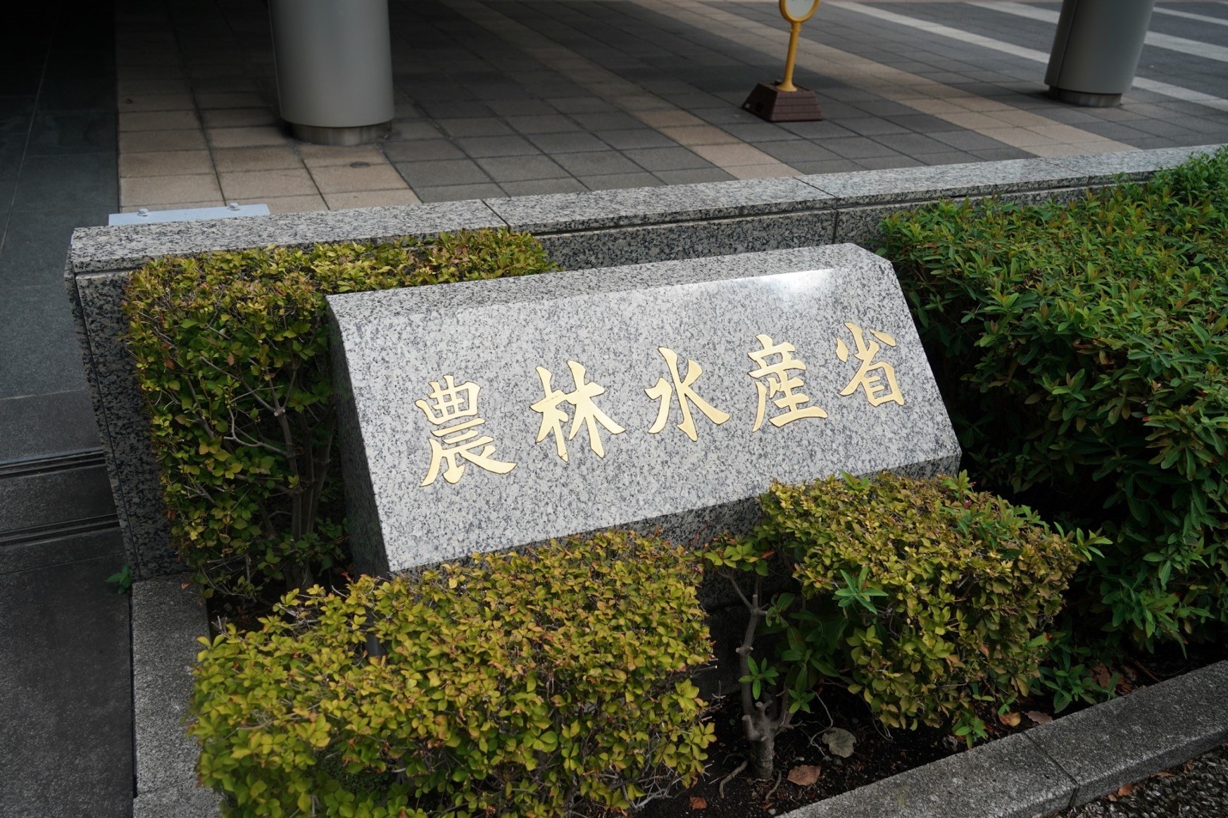 Image (6)